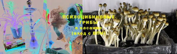сатива Алексеевка