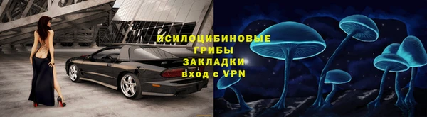 сатива Алексеевка
