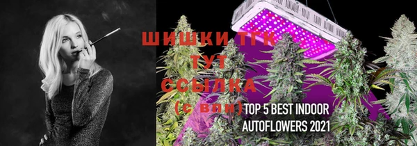 сатива Алексеевка